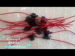 Κάτοχοι θρυαλλίδων